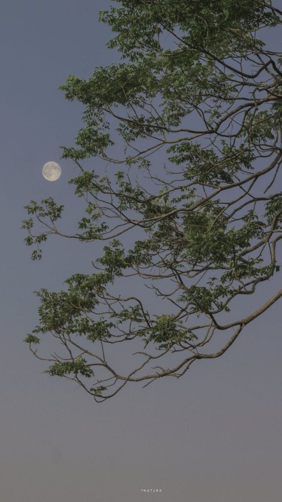 66c65421-d333-4c91-9a15-efd100a1988a